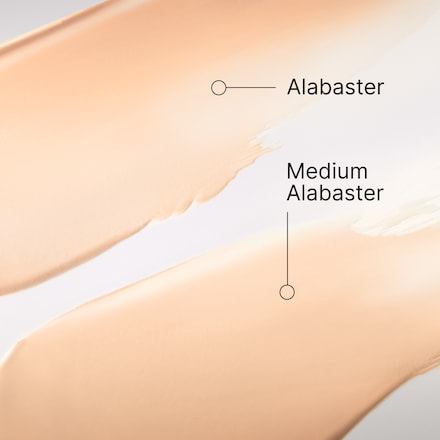 霧光持久氣墊粉餅SPF40 PA+++ (補充蕊心)